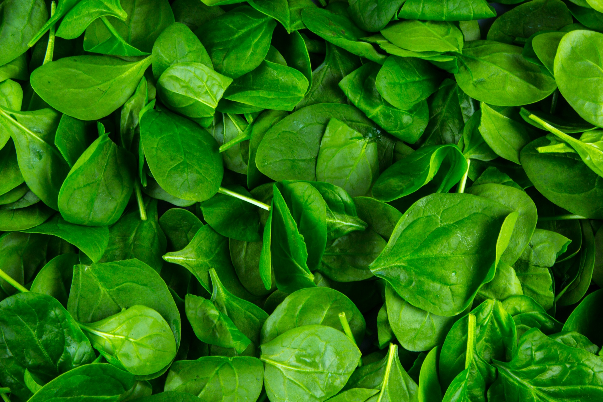 spinach-leaves